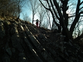 39 rocce...ben sagomate